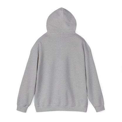 DDR Hoodie