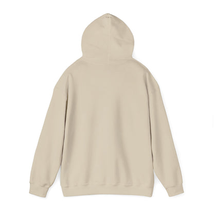 DDR Hoodie