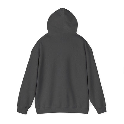 DDR Hoodie